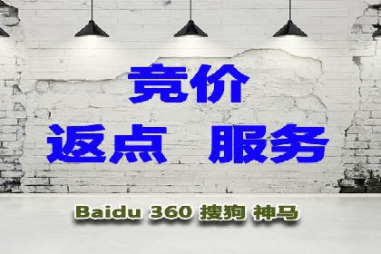 竞价广告投放策略，代运营公司的成功实践